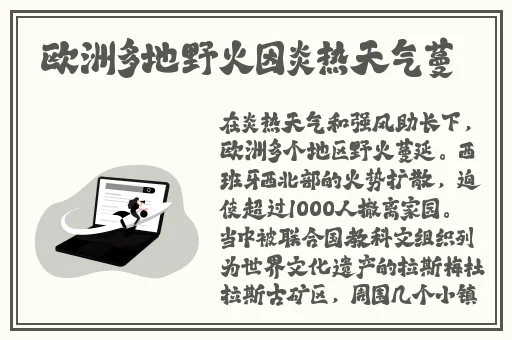 看黄的应用好色先生